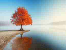 算﻿法‍测‌试​工﻿程‍师‍要﻿求‍